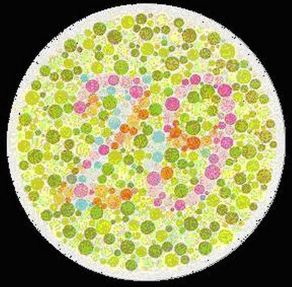 12 Color Blind Test Charts From Easy To Hard How Many Can You Pass 
