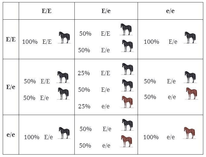20 Horse Color Genetics Calculator CheryllAanya