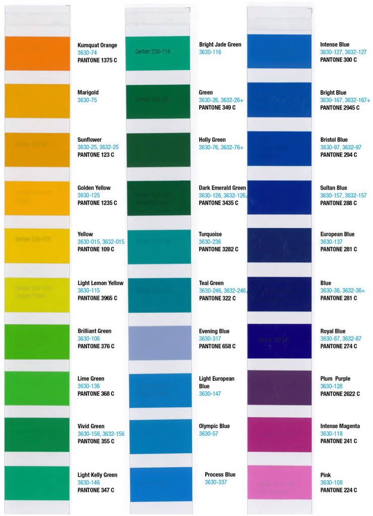3m Translucent Color Chart Sign Anatomy