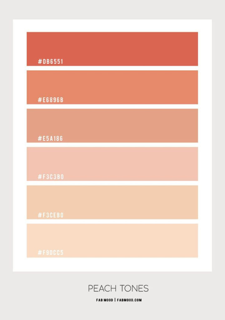 A Comprehensive Guide To The Best Peach Paint Color Charts Paint Colors