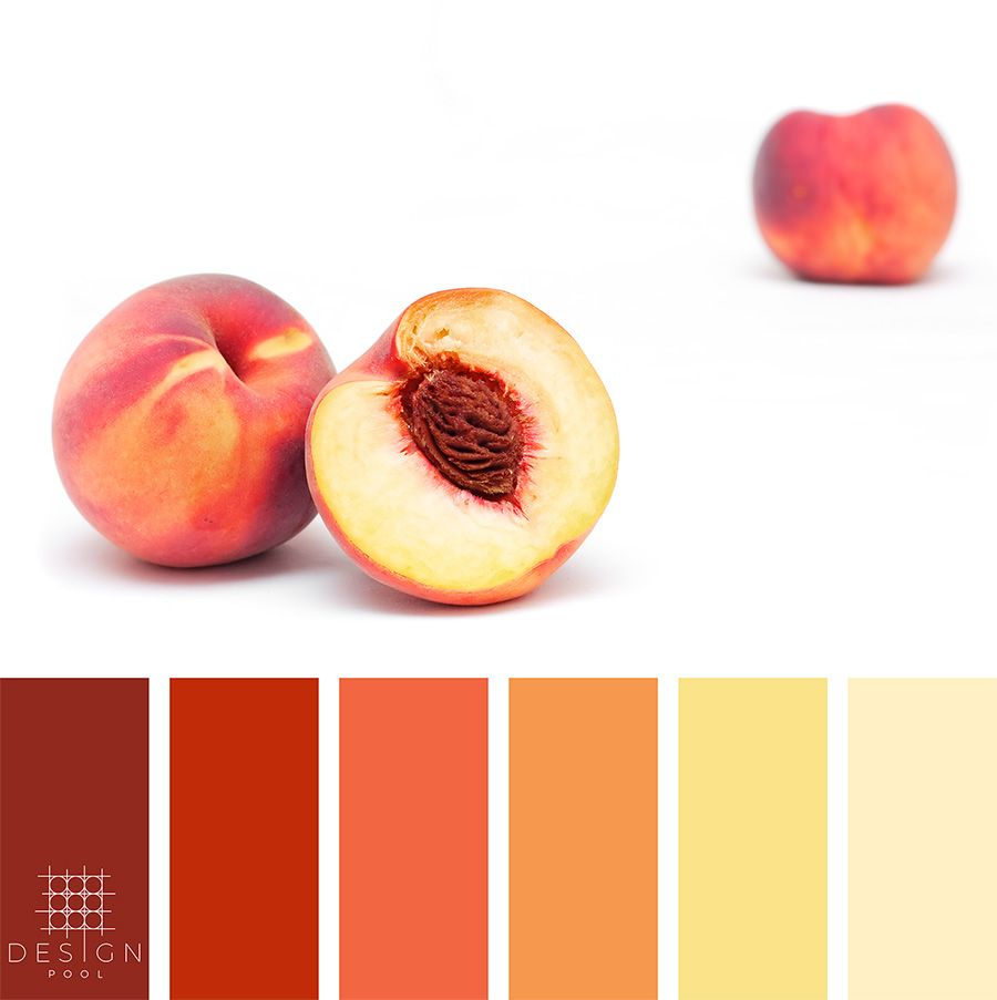 A Comprehensive Guide To The Best Peach Paint Color Charts Paint Colors