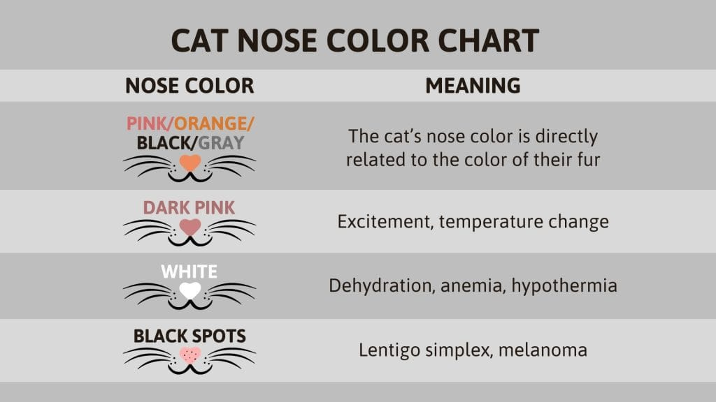 A Guide To The Cat Nose Color Chart