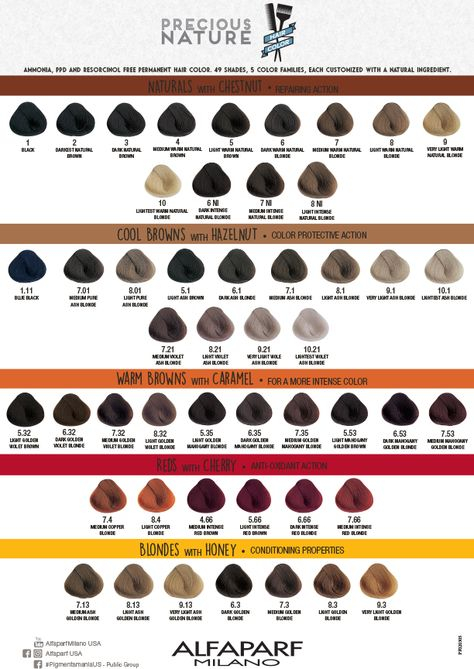 Alfaparf Evolution Color Chart Canoeracing uk