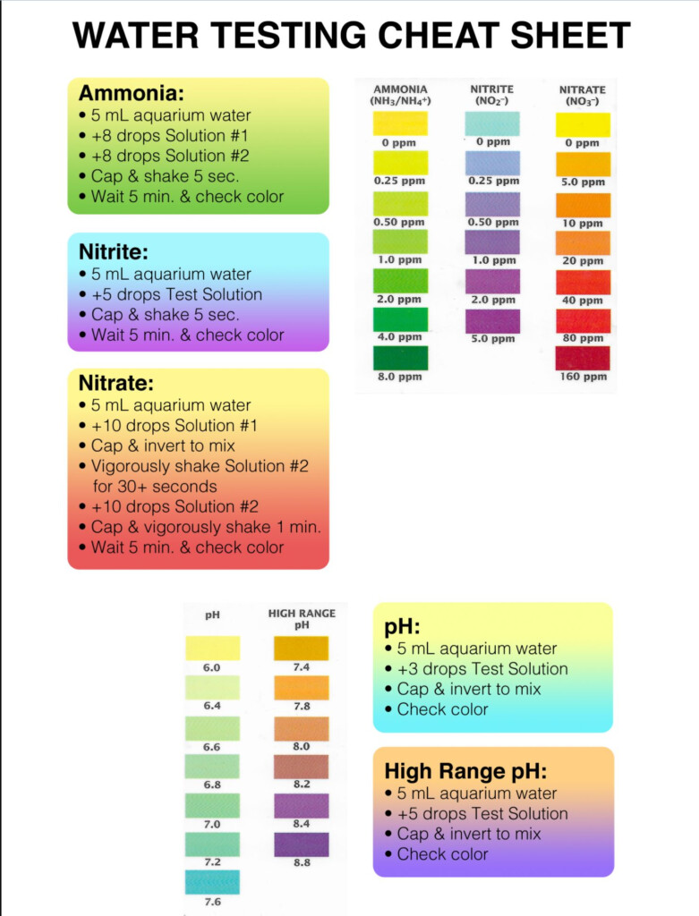 API Test Kit Color Chart Results Michael 39 s Happy Fish