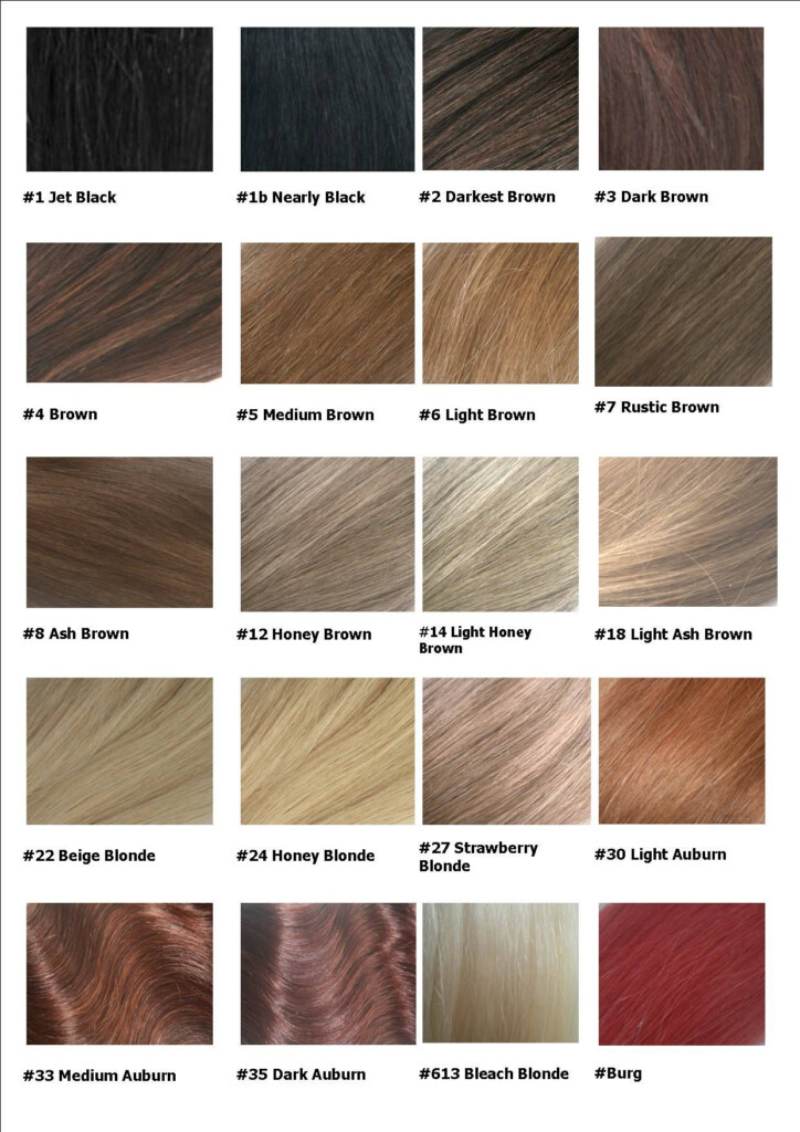 Argan Oil Color Chart Blonde Hair Color Chart Hair Color Chart NBKomputer
