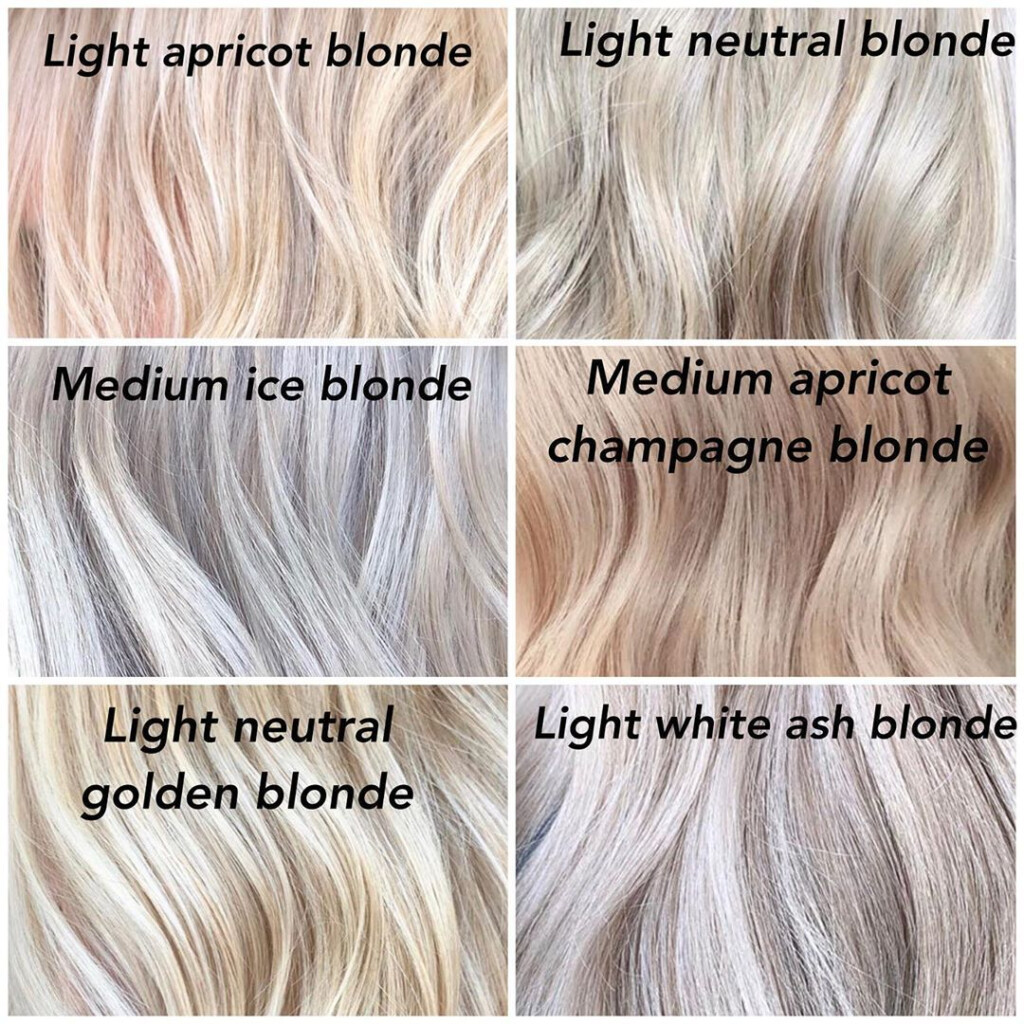 Ash Blonde Hair Color Chart Hairstylingstudio