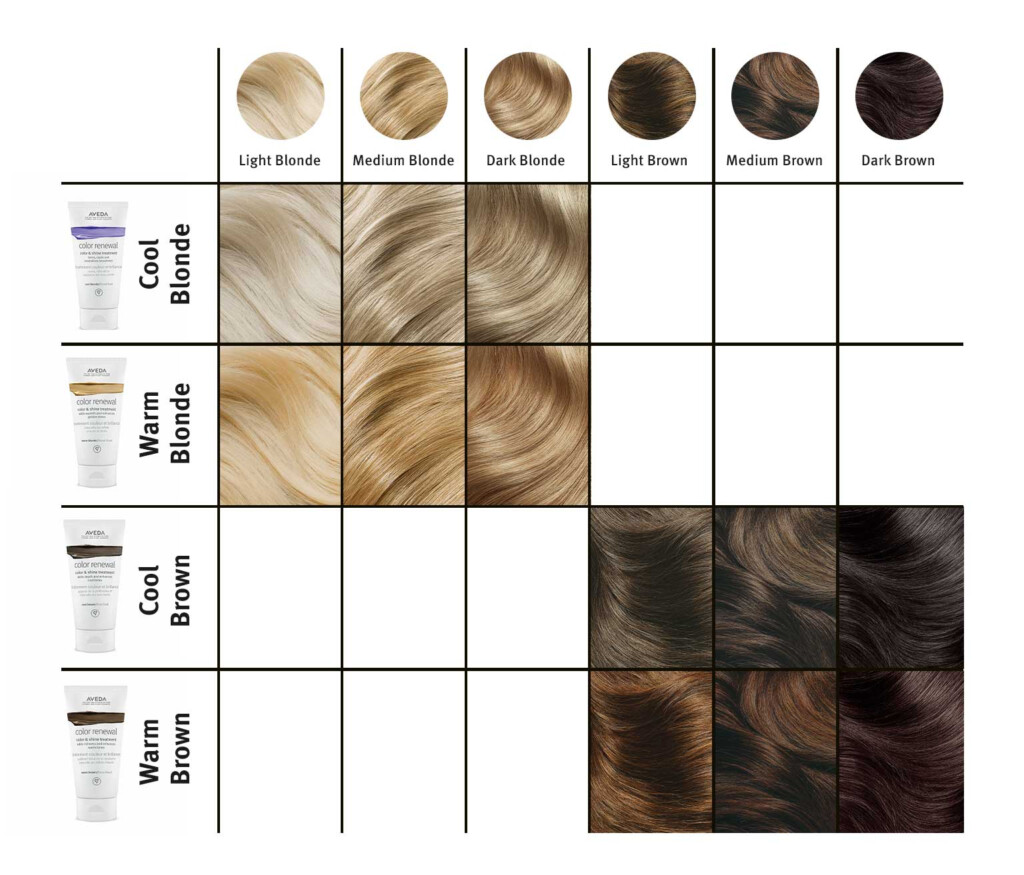 Aveda Hair Color Chart 2024 Lanny Melinde