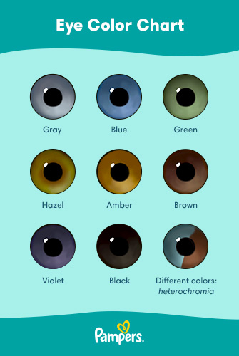 Baby Eye Color Chart Predictor Infoupdate