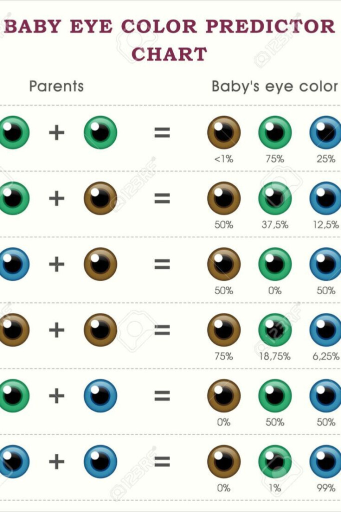 BABY EYE COLOR PREDICTOR CHART Eye Color Predictor Baby Eyes Baby 