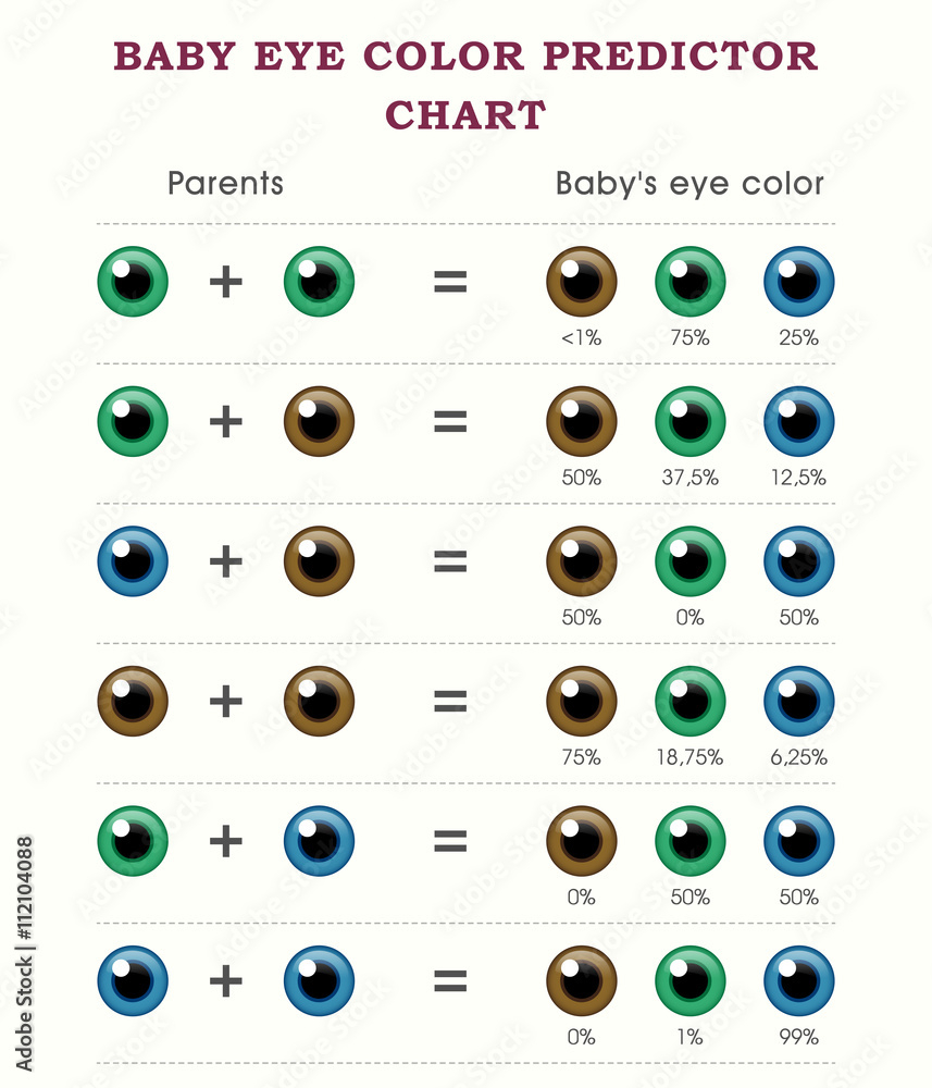 Baby Eye Color Predictor Chart Template Stock Vector Adobe Stock