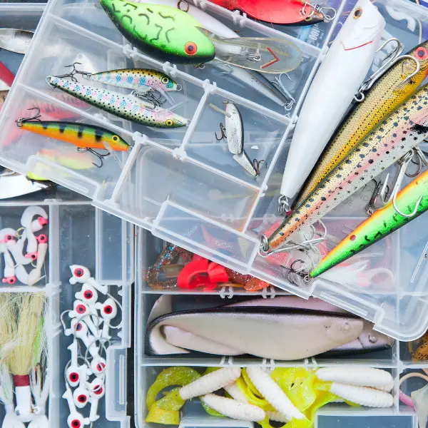 Bass Fishing Lure Color Selection Chart All Fishing Gear