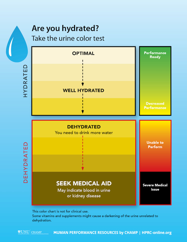 Beer Hydration Chart Urine Color Sexiz Pix