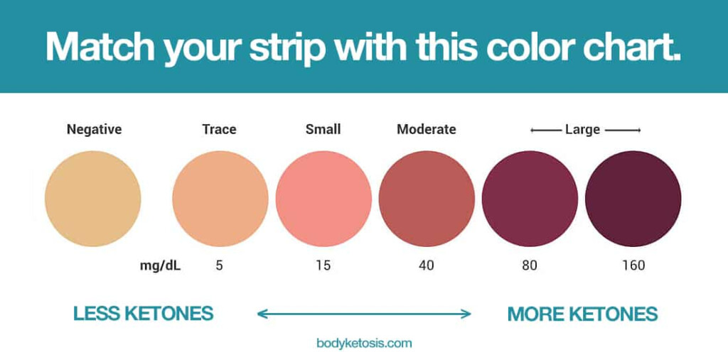 Best Keto Urine Strips To Measure Ketones incl How To Bodyketosis