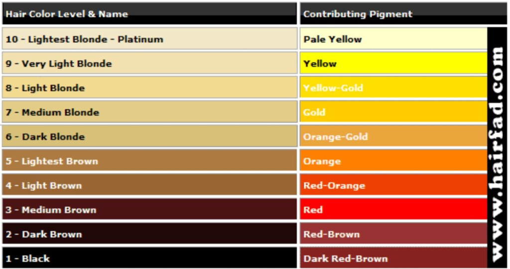 Bleach Hair Color Chart Warehouse Of Ideas