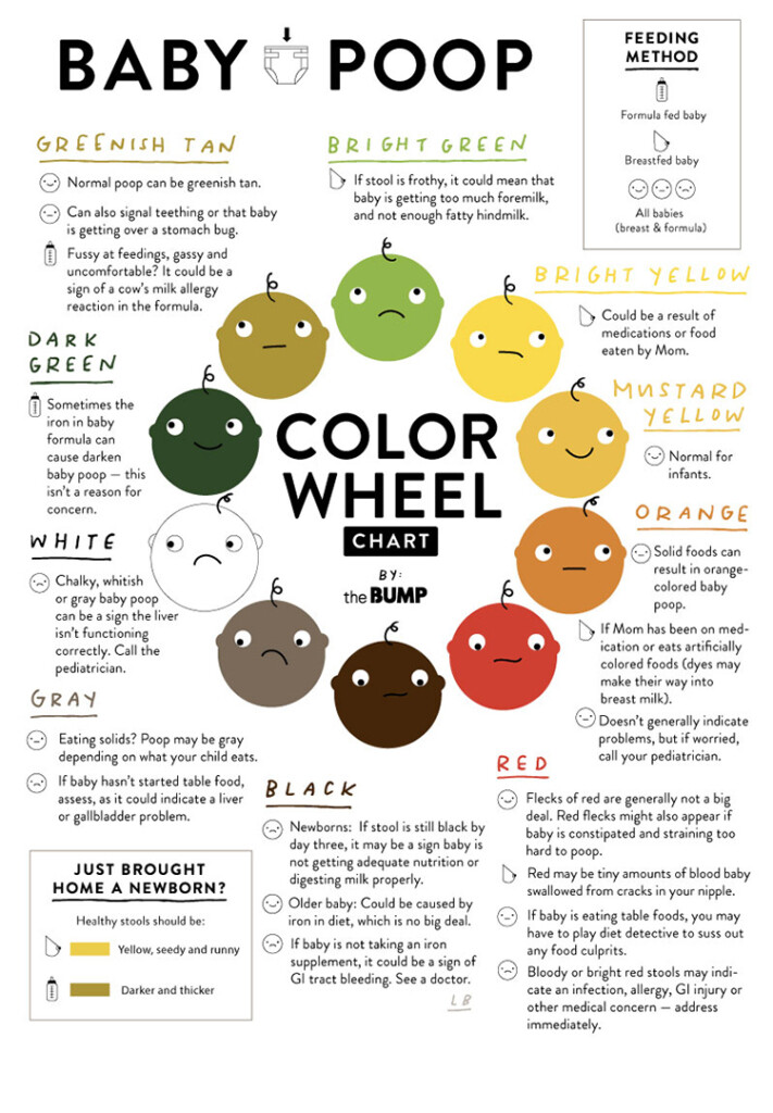 Bowel Movement Color Chart Ponasa