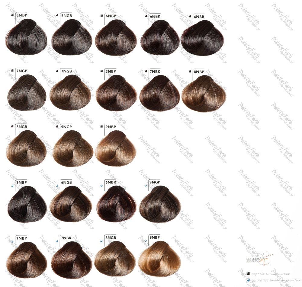 Brown Goldwell Color Chart