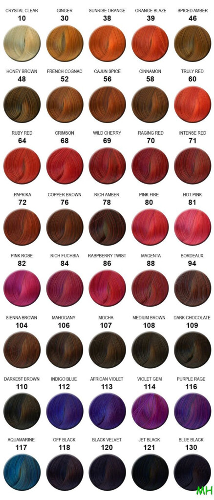 Brown Ion Color Chart Best 25 Ion Hair Colors Ideas On Pinterest Ion 