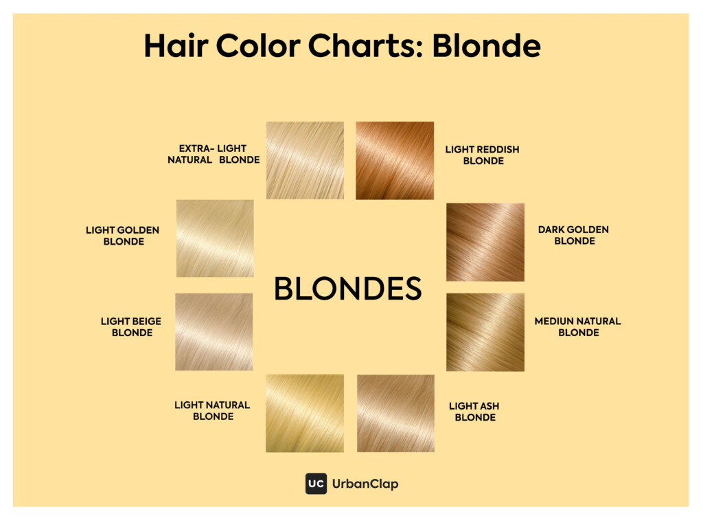 Caramel Blonde Hair Color Chart Annika Wooden
