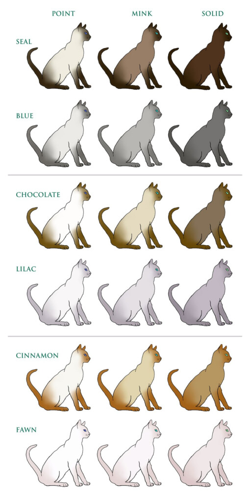 Cat Fur Patterns Chart Ponasa