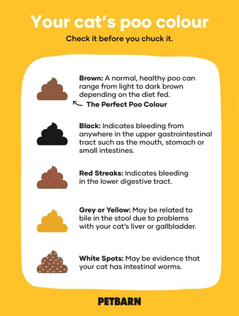 Cat Vomit Color Chart Brown Warehouse Of Ideas