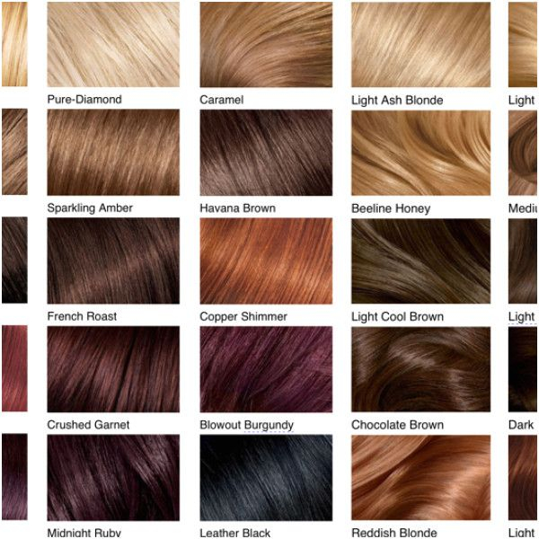 Chestnut Brown Hair Color Chart Warehouse Of Ideas