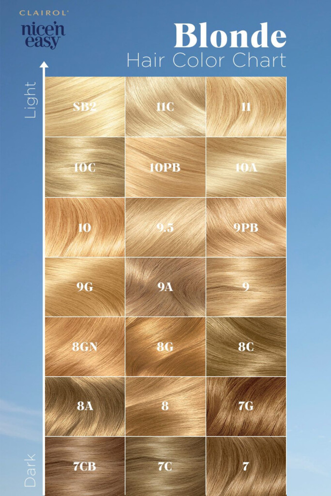Clairol Nice Easy Color Chart Interpret Radar Charts