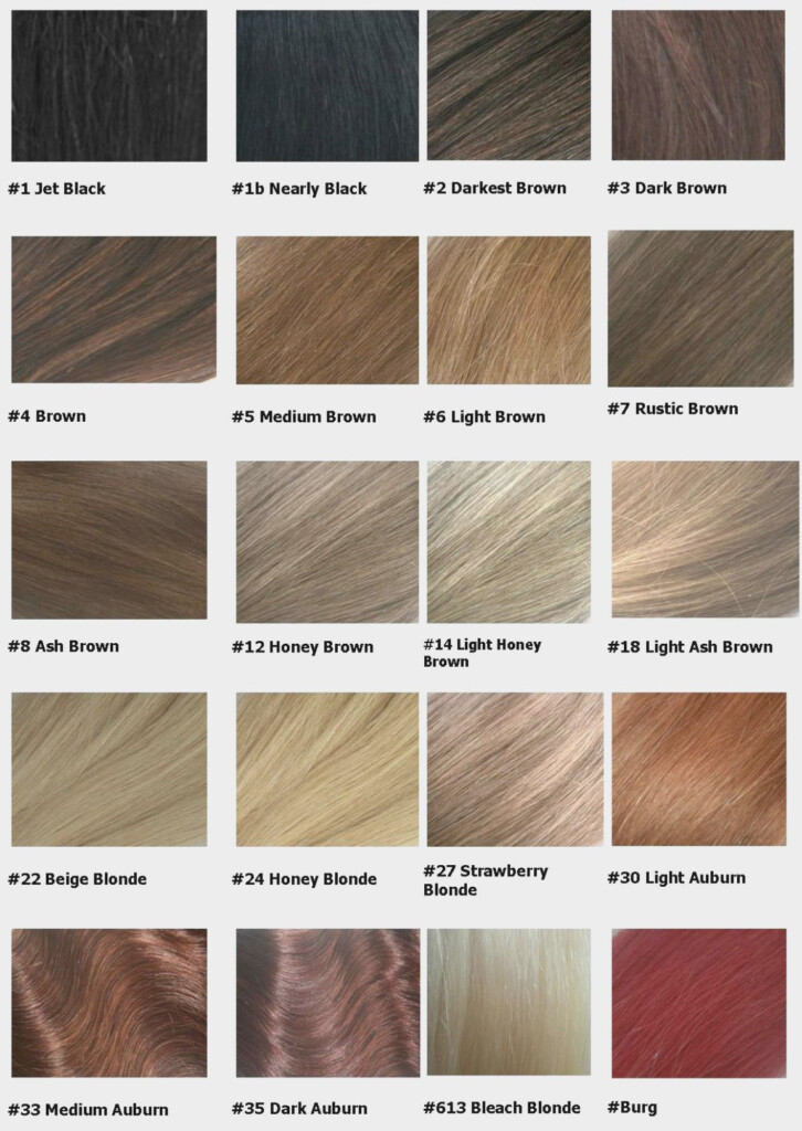 Clairol Professional Hair Color Chart New Product Evaluations Deals 