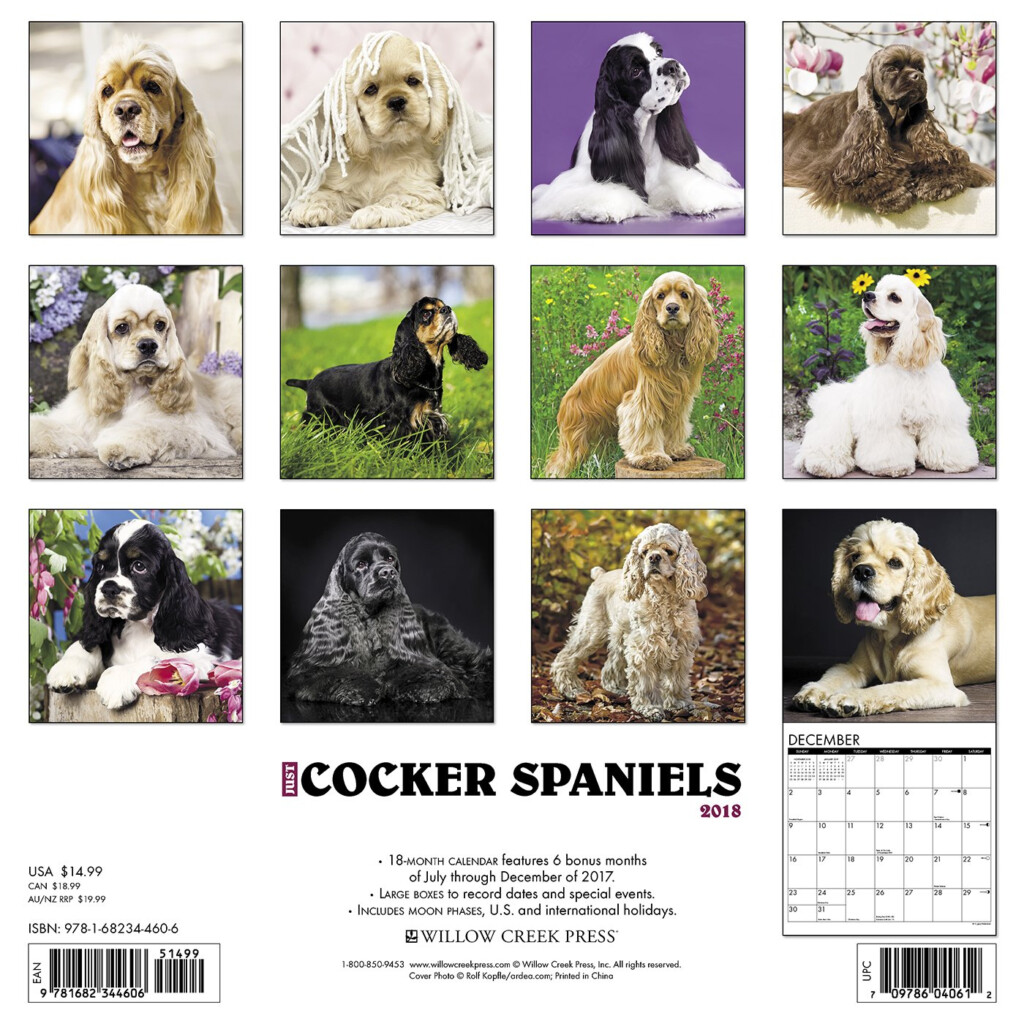 Cocker Spaniel Color Chart Ubicaciondepersonas cdmx gob mx