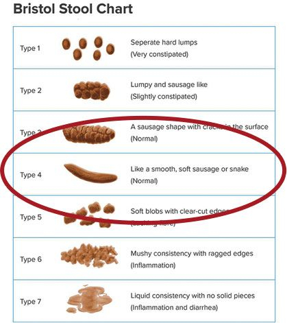 Colonoscopy Prep Color Chart