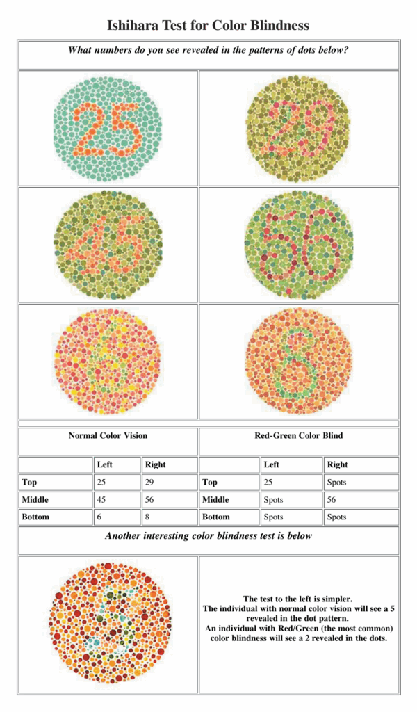 Color Blindness Test Coloring