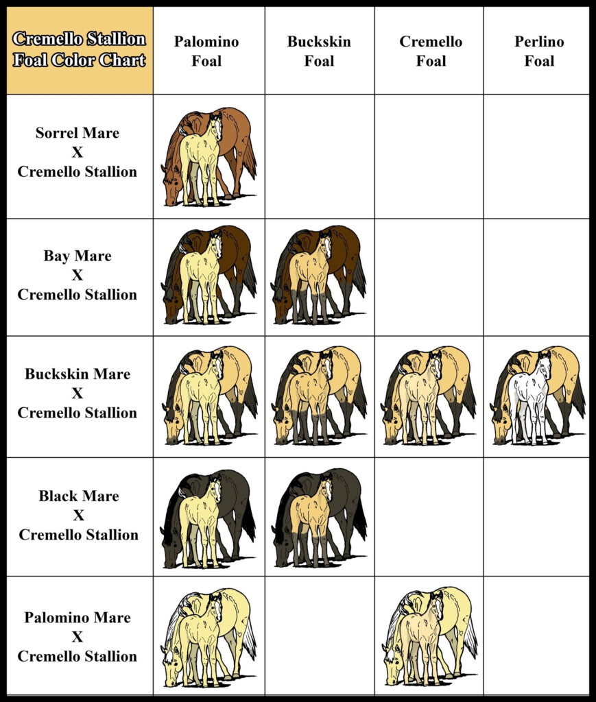 Color Cross Chart For Horses Cremello Cross Color Chart Foal Color Chart
