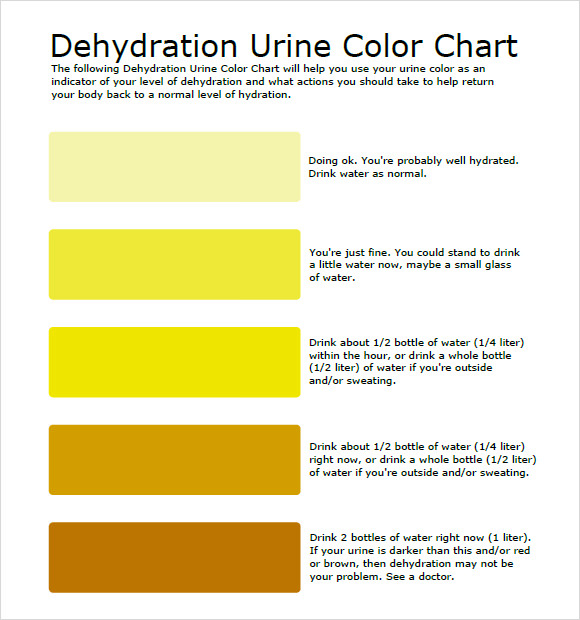 Color Of The Urine Chart