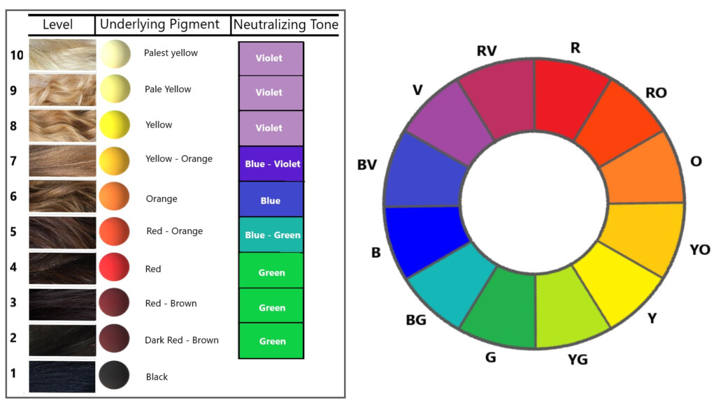 Color Wheel Hair Color Chart Hair Color Wheel How To Use It When You 