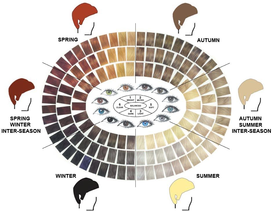 Color Wheel Hair Color Chart