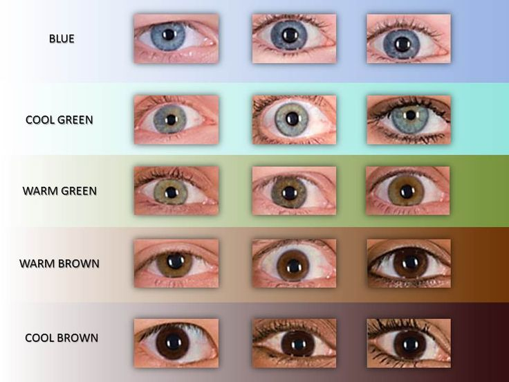Different Brown Eye Color Chart The Eye Color Chart Hubpages