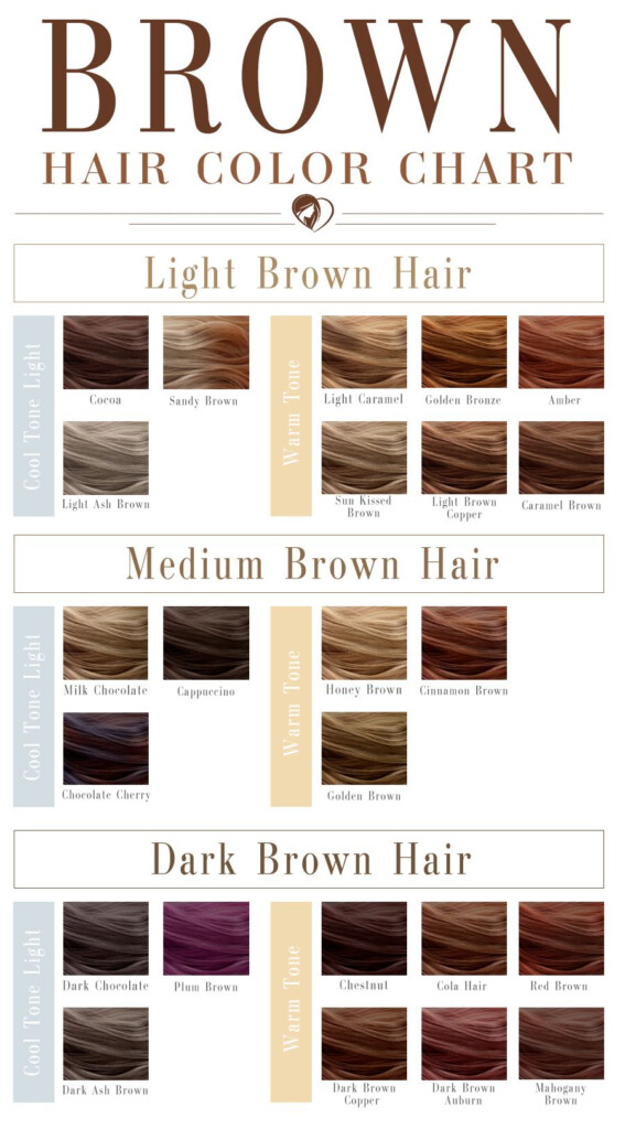 Different Shades Of Brown Hair Color Chart