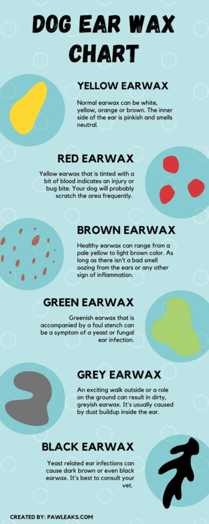 Dog Ear Wax Color Chart