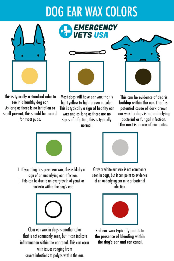 Dog Ear Wax Color Chart What Does Each Color Mean 