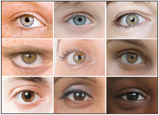 Dominant Eye Color Chart