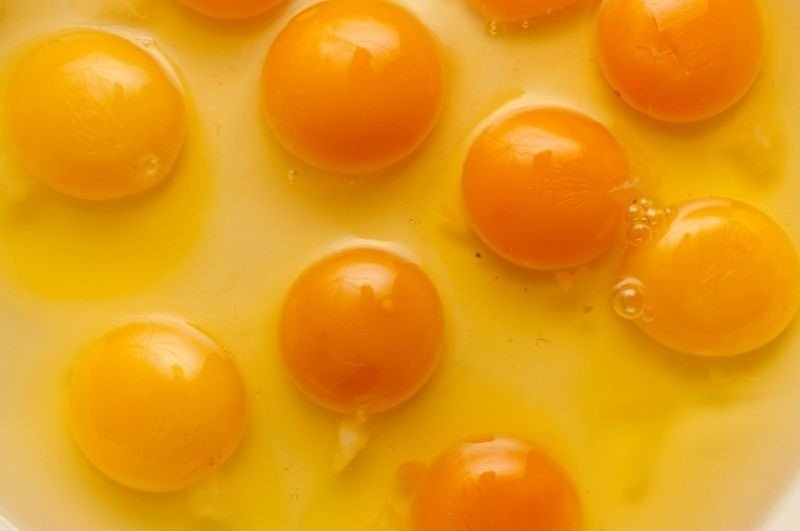 Egg Yolk Color Chart What Do The Colors Mean Eco Peanut