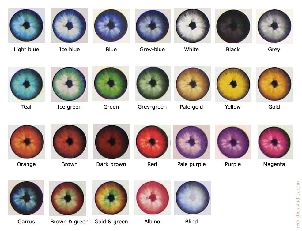 Eye Color Chart Eyes Eyecolors Eye Color Chart Eye Color Facts All 