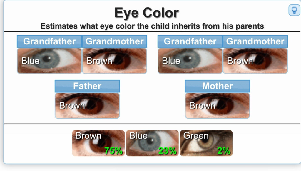 Eye Color Chart Genetics