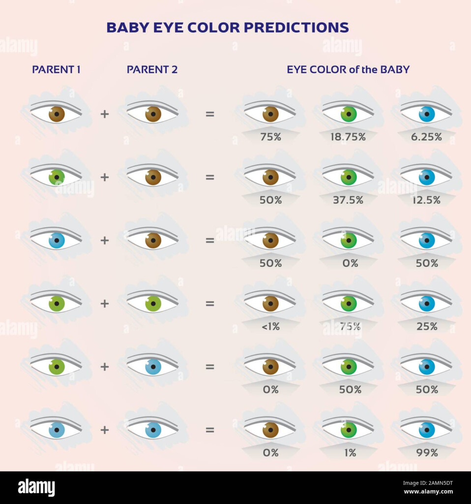 Eye Color Chart Genetics Hair Color Chart Color Charts Eye Color 