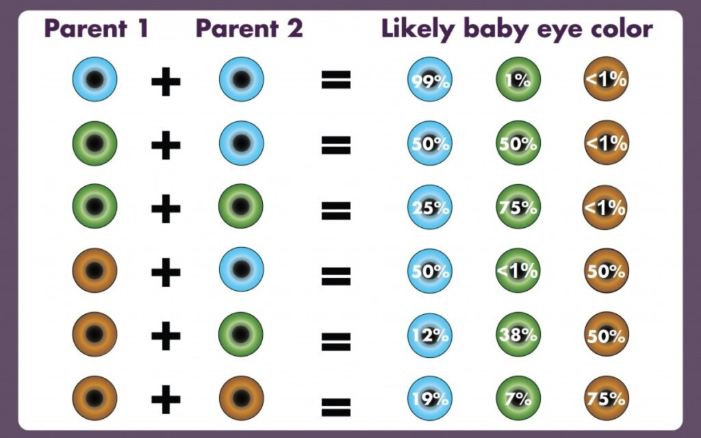 Eye Color Chart Percentage The Rarest Eye Colors In Humans