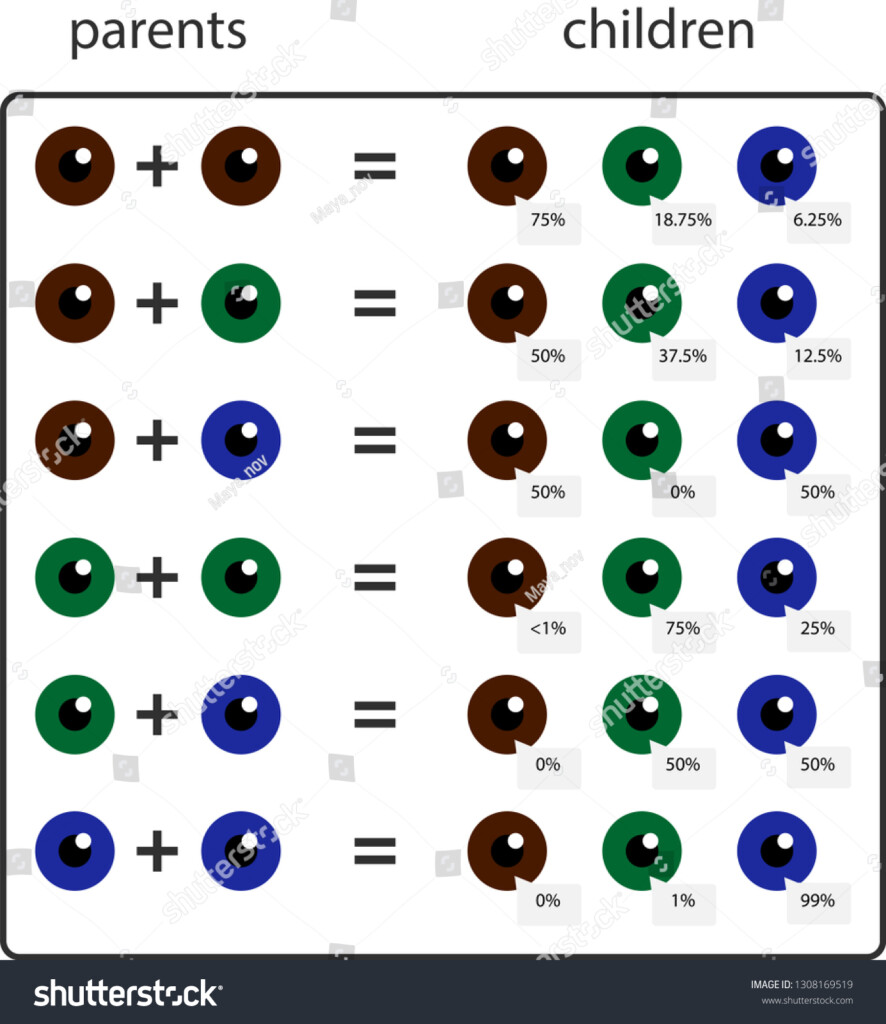 Eye Color Chart Predictor Predicting Phenotype For Baby It 39 s
