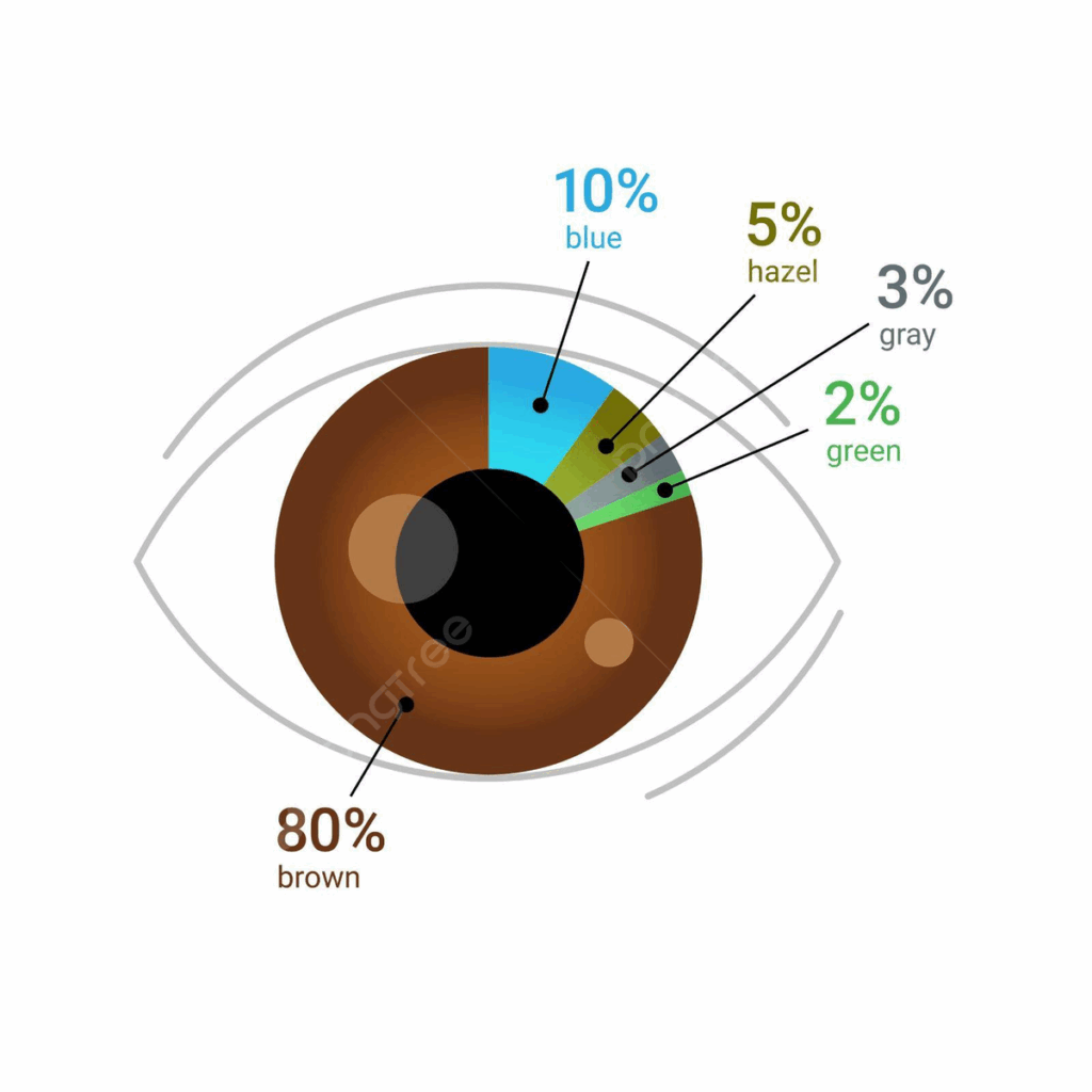 Eye Color Percentage Chart Global Eye Color Percentage Pie Chart 