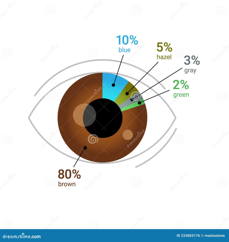 Eye Color Percentage Chart Global Eye Color Percentage Pie Chart 