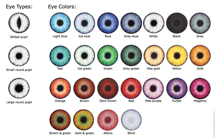 Eye Color Rarity Chart Eye Color Chart Rare Eye Colors Rare Eyes Pin 