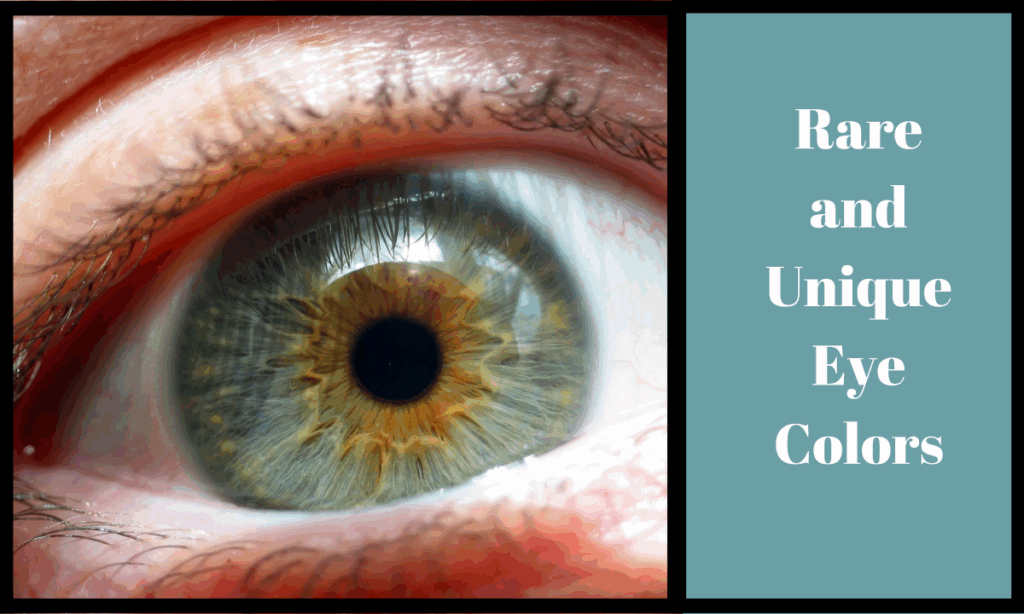 Eye Color Rarity Chart Eye Color Rarity Chart Fresh Charts Stock Of 