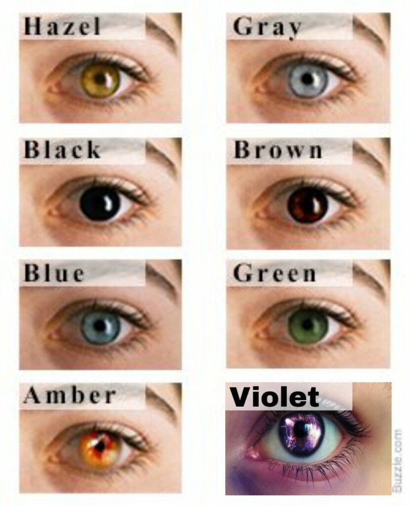 Eye Color Rarity Chart Rarest Colors Contacts Near Me Aquasea Info Of 